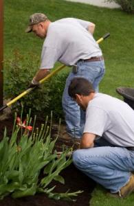 Our Hayward CA Irrigation Specialists Suggest Xeriscaping